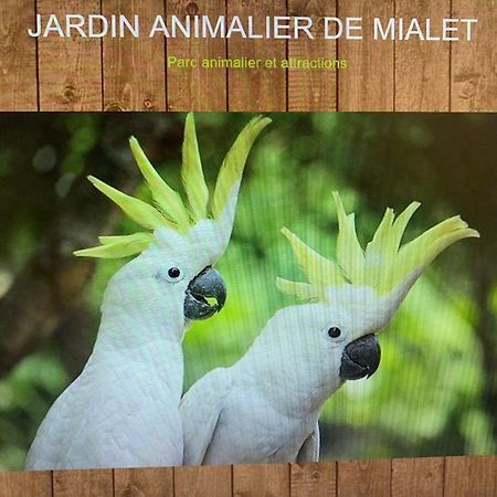 La Magnanerie Leilighet Mialet  Eksteriør bilde